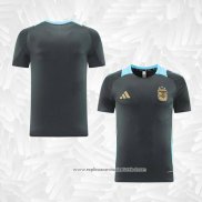 Camisola de Treinamento Argentina 2024-2025 Cinza